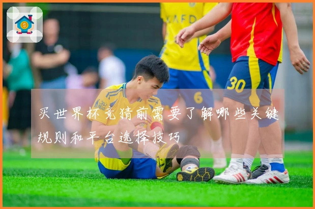 买世界杯竞猜前需要了解哪些关键规则和平台选择技巧