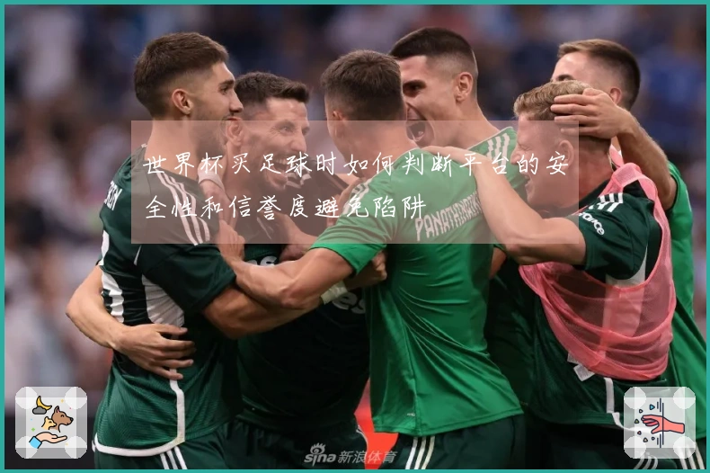 世界杯买足球时如何判断平台的安全性和信誉度避免陷阱
