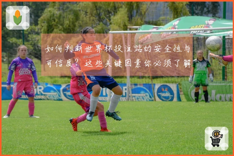 如何判断世界杯投注站的安全性与可信度？这些关键因素你必须了解！